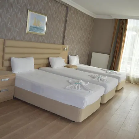 酒店 芥蓝皇宫酒店 İmroz