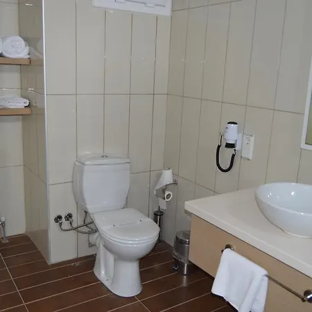 酒店 芥蓝皇宫酒店