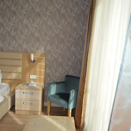 芥蓝皇宫酒店 酒店