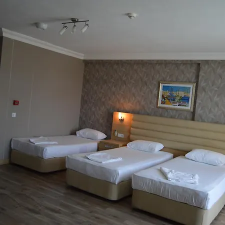 芥蓝皇宫酒店 酒店 3*