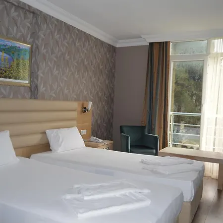 芥蓝皇宫酒店 酒店 İmroz